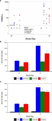 A <mark class="highlighted">Monovalent</mark> and Trivalent MVA-Based Vaccine Completely Protects Mice Against Lethal Venezuelan, Western, and Eastern Equine Encephalitis Virus Aerosol Challenge